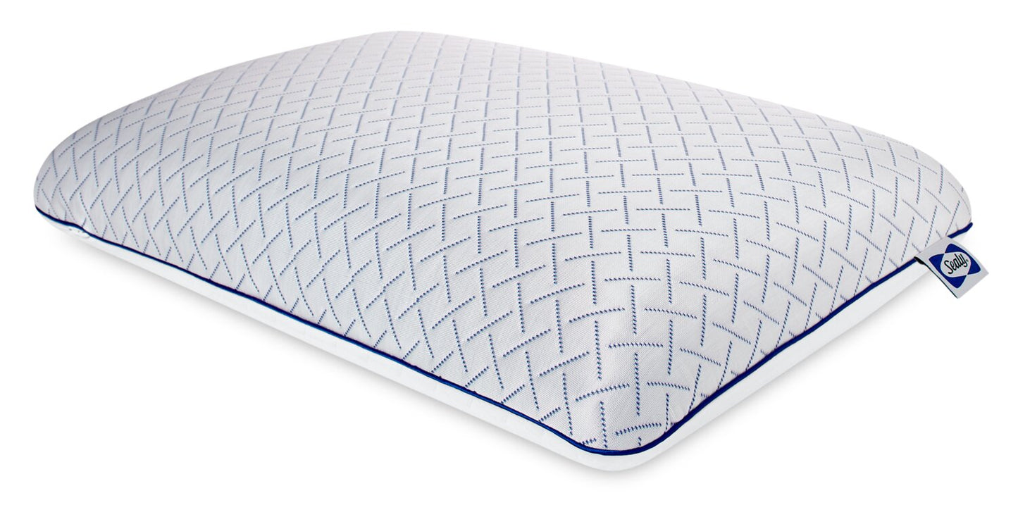 Sealy® Memory Foam Pillow | Oreiller en mousse à mémoire de Sealy