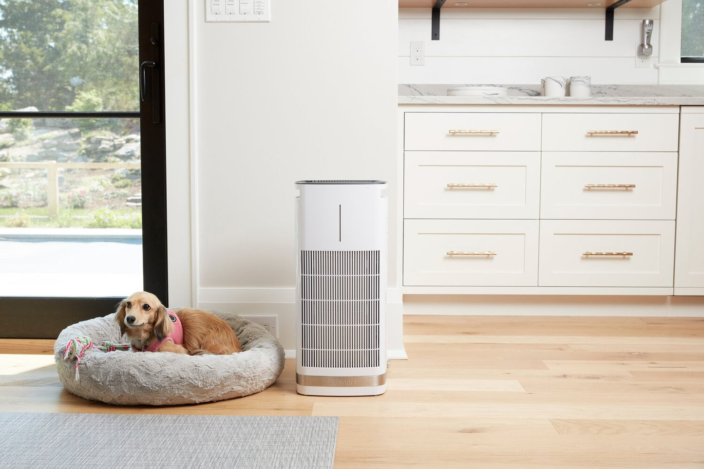 Cuisinart PuRXium Freestanding Air Purifier - CAP-1000C | Purificateur d’air amovible PuRXium de Cuisinart - CAP-1000C | CAP1000C