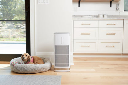 Cuisinart PuRXium Freestanding Air Purifier - CAP-1000C | Purificateur d’air amovible PuRXium de Cuisinart - CAP-1000C | CAP1000C