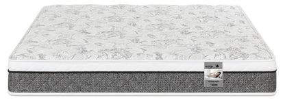 Springwall Moonlight Eurotop Plush Queen Mattress | Matelas moelleux à Euro-plateau Moonlight de Springwall pour grand lit